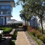 landscaping_south_africa_chb_0020