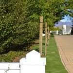 landscaping_south_africa_chb_004