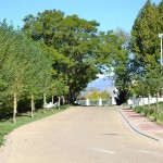 landscaping_south_africa_chb_005