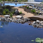 landscaping_south_africa_chb_006