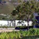 soft_landscaping-_fernkloof_fynbos